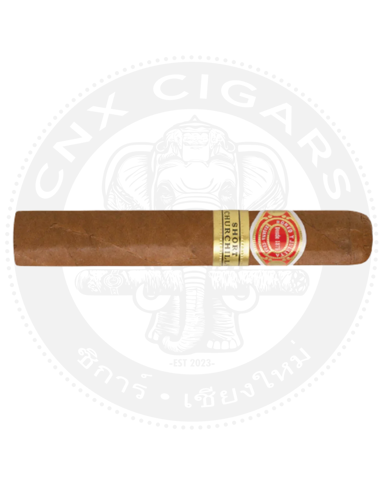 Romeo y Julieta Short Churchill